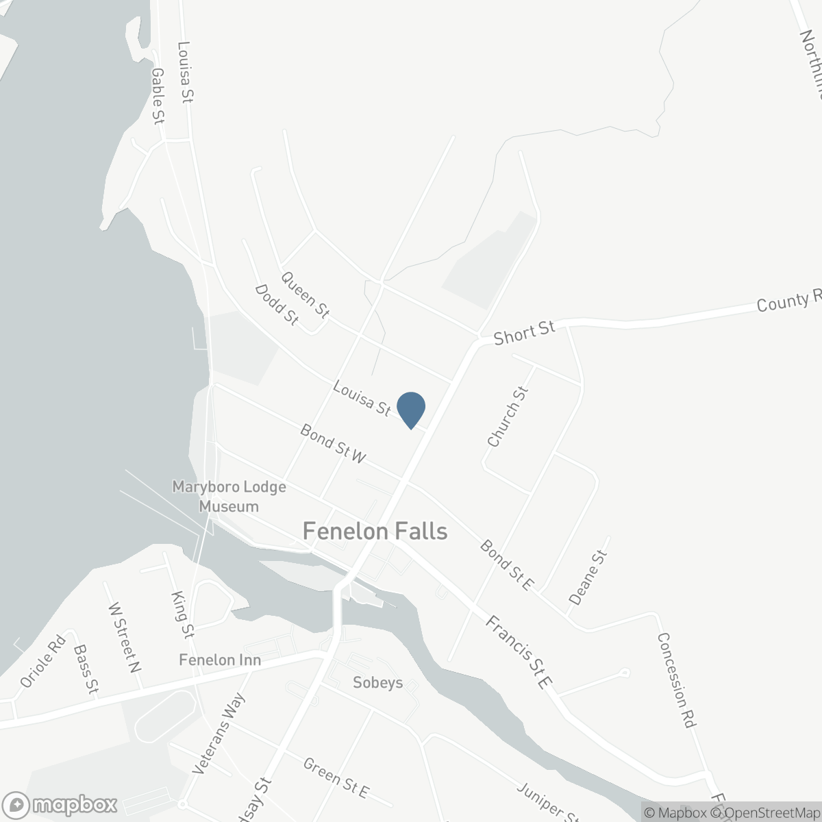 10 - 111 COLBORNE STREET, Fenelon Falls, Ontario K0M 1N0